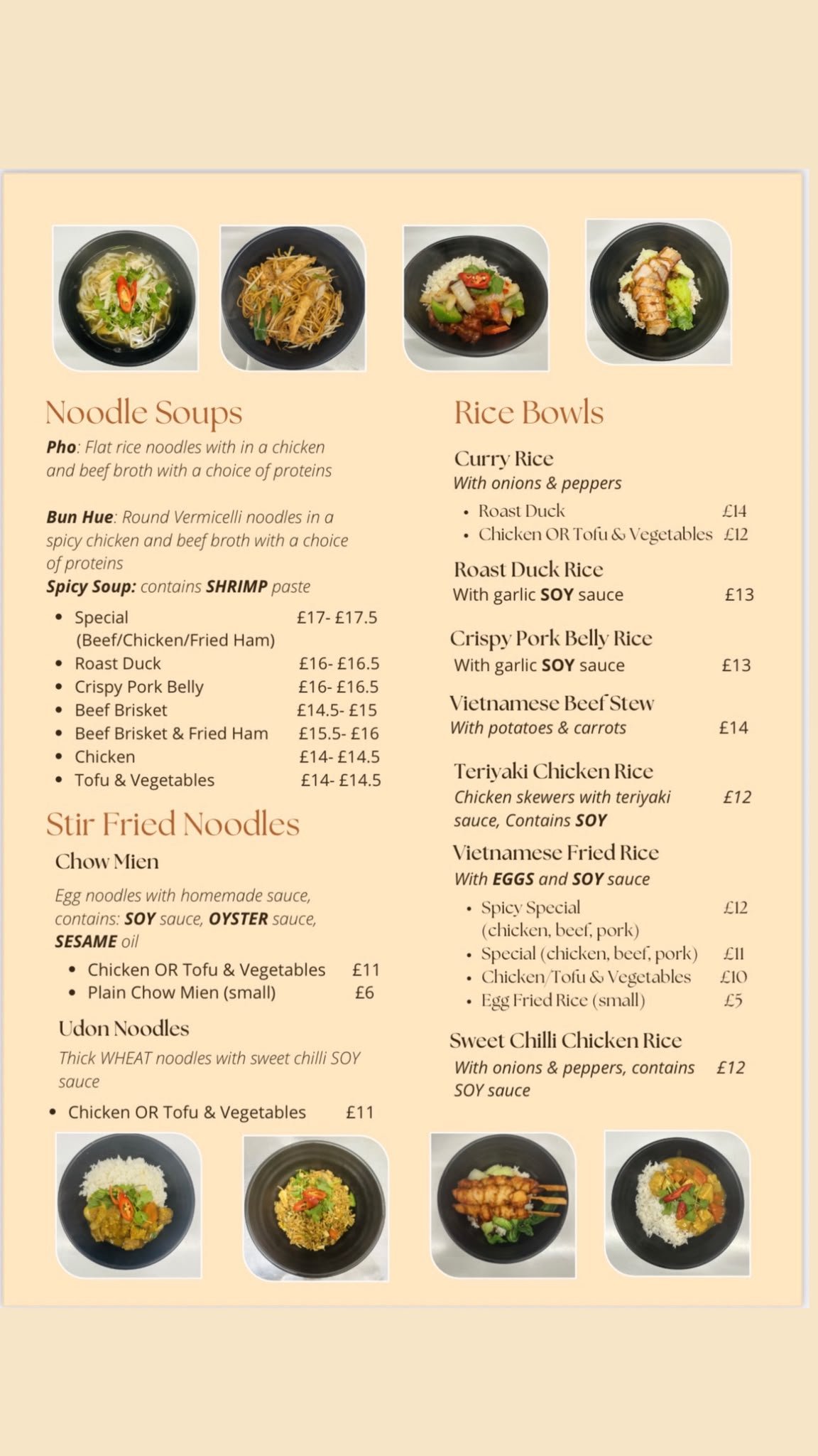 Noodles and Rice Bowls